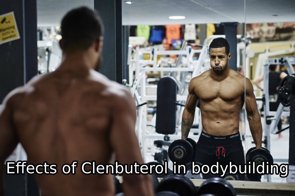 Effects of Clenbuterol in bodybuilding
