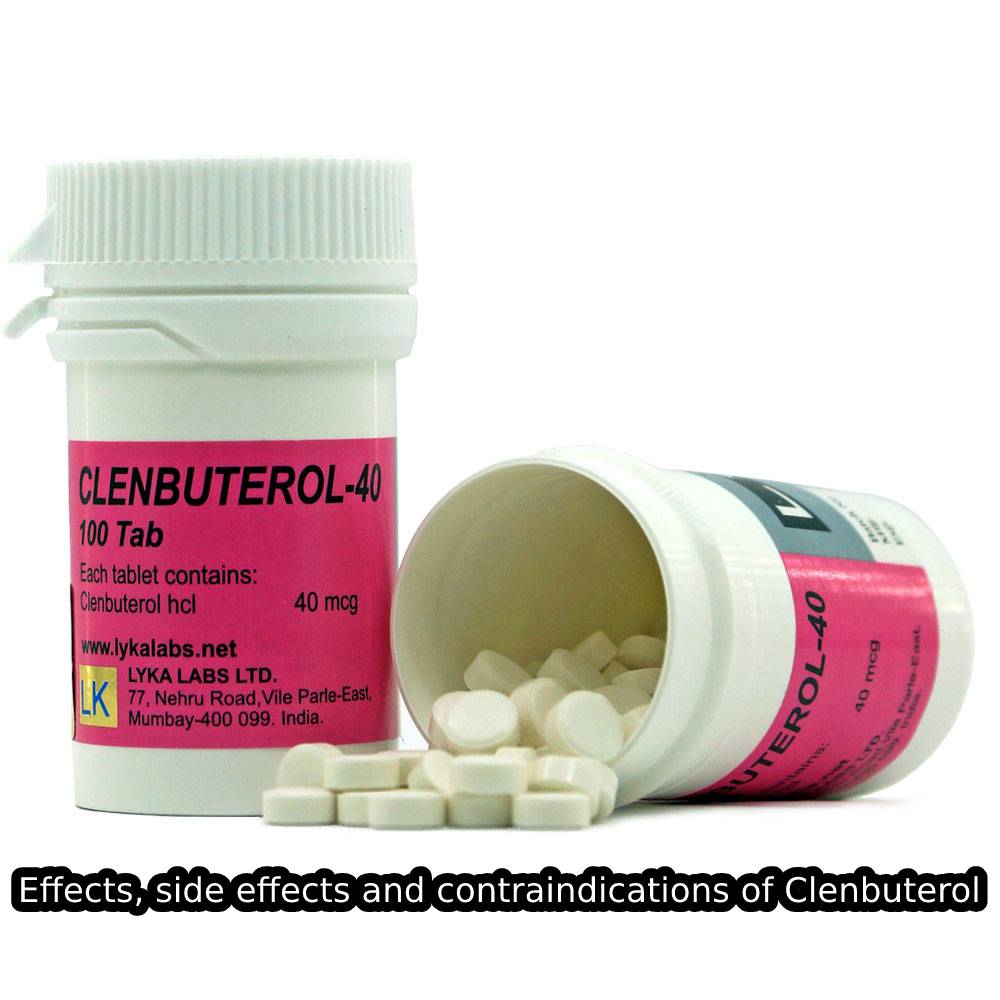 Effects, side effects and contraindications of Clenbuterol
