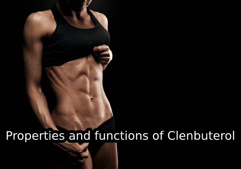 Properties and functions of Clenbuterol